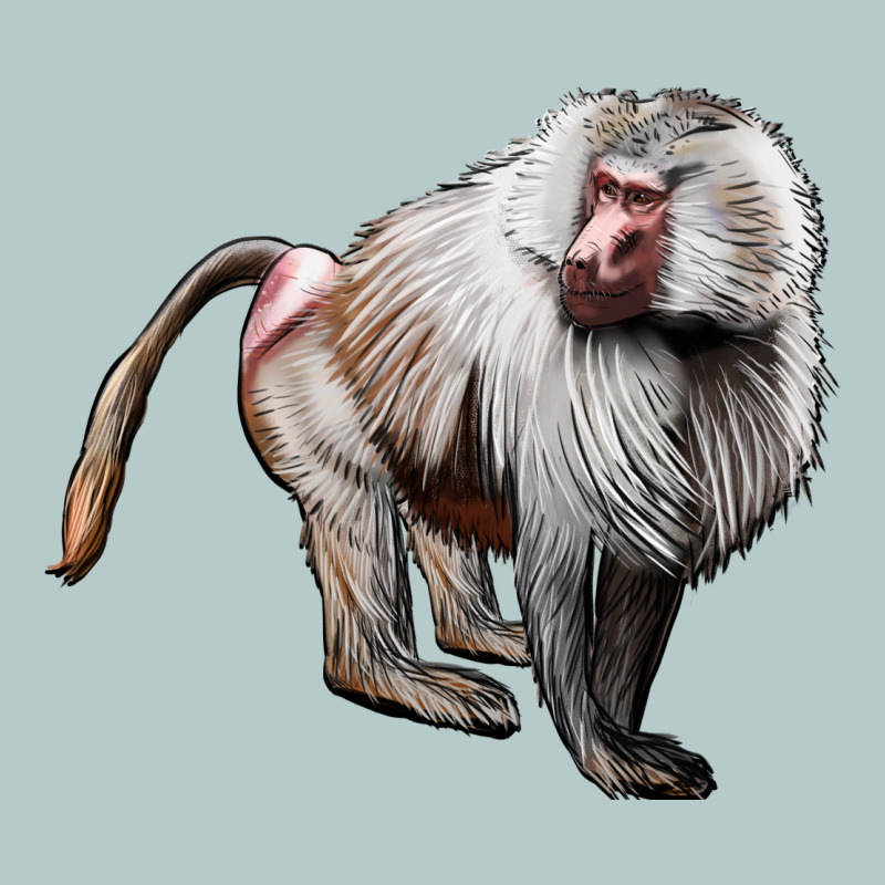 Baboon Heavy Core Tee by LillyAllenDesigns | Teevron