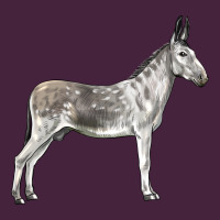Andalusian Donkey Premium Tee | Teevron