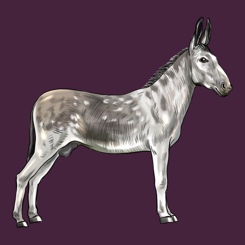 Andalusian Donkey Premium Tee by LillyAllenDesigns | Teevron