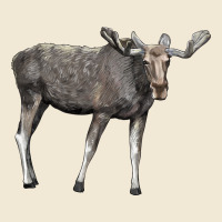 Moose Buck Deer Premium Tee | Teevron