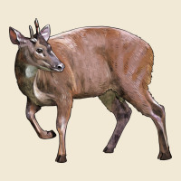 Red Brocket Buck Deer Premium Tee | Teevron