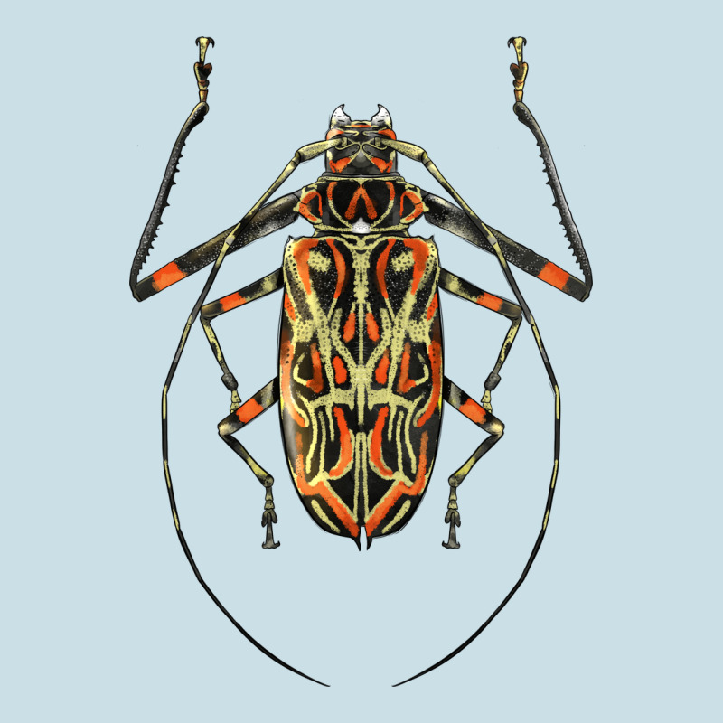 Acrocinus Beetle Illustrations Ladies Tee by LillyAllenDesigns | Teevron