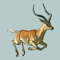 Impala Antelope Illustrations Heavy Core Tee | Teevron
