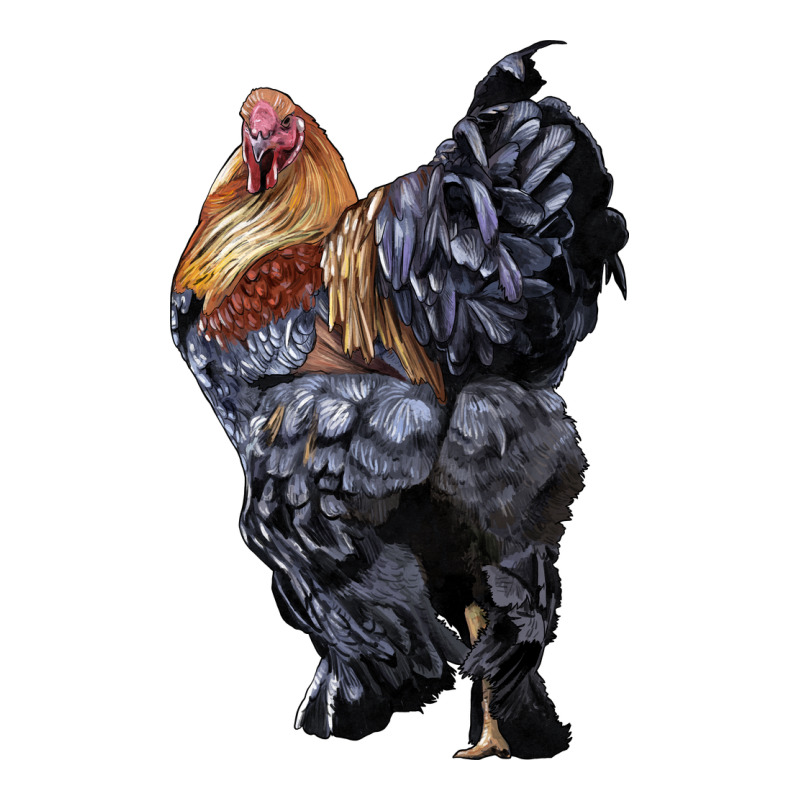 Brahma Rooster Premium Tee by LillyAllenDesigns | Teevron