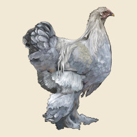 Brahma Chicken Premium Tee | Teevron