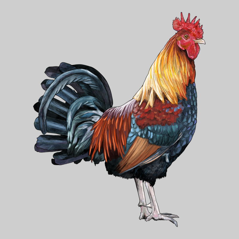 New Hampshire Red Rooster Premium Tee by LillyAllenDesigns | Teevron