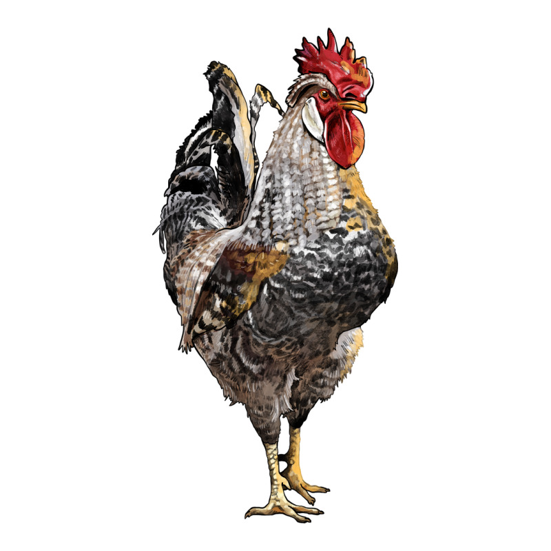 Cream Legbar Rooster Premium Tee by LillyAllenDesigns | Teevron