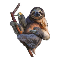 Sloth | Teevron