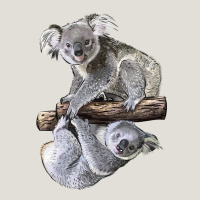 Koala Heavy Core Tee | Teevron