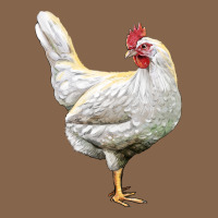 Leghorn Chicken Premium Tee | Teevron