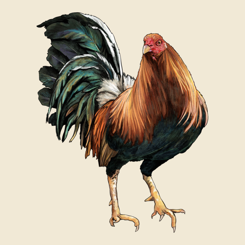 American Game Rooster Premium Tee by LillyAllenDesigns | Teevron