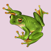 White Lipped Tree Frog Illustrations Ladies Tee | Teevron