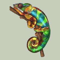Chameleon Lizard Illustrations Ladies Tee | Teevron