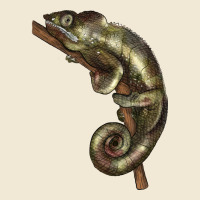 Green Chameleon Lizard Illustrations Ladies Tee | Teevron