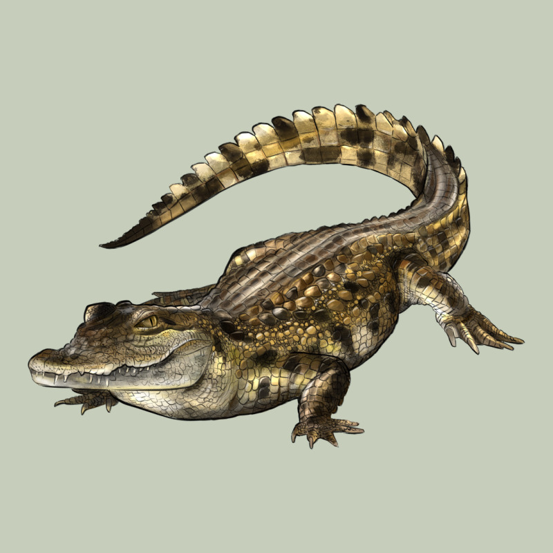 Crocodile Ladies Tee by LillyAllenDesigns | Teevron