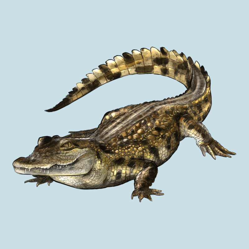 Crocodile Ladies Tee by LillyAllenDesigns | Teevron