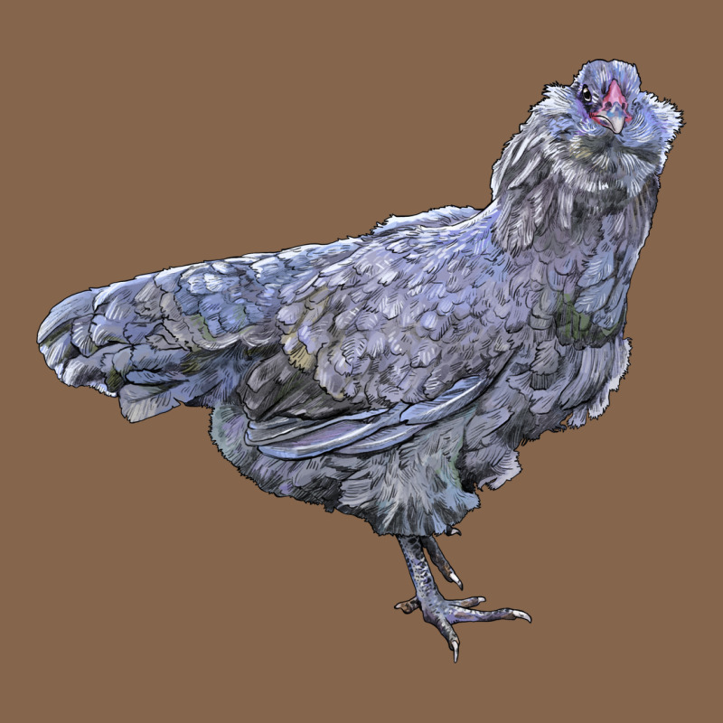 Ameraucana Chicken Premium Tee by LillyAllenDesigns | Teevron