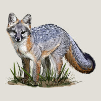 Gray Fox Heavy Core Tee | Teevron