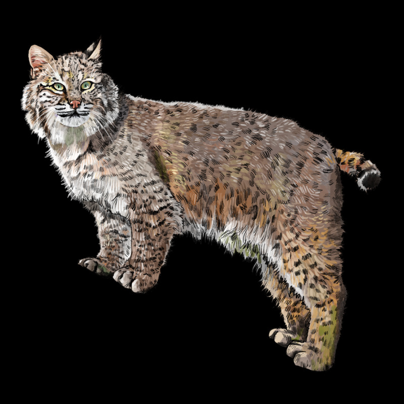 Bobcat Premium Tee by LillyAllenDesigns | Teevron