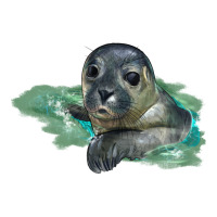 Sea Seal Face Illustrations Ladies Tee | Teevron