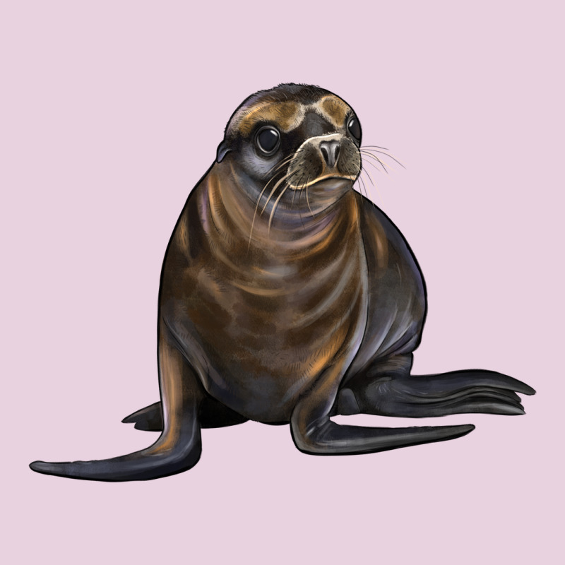 Sea Lion Illustrations Ladies Tee by LillyAllenDesigns | Teevron