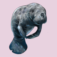 Manatee Illustrations Ladies Tee | Teevron