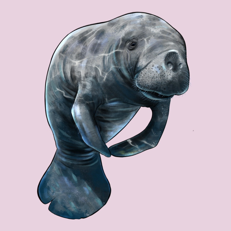 Manatee Illustrations Ladies Tee by LillyAllenDesigns | Teevron