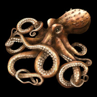 Octopus Ladies Tee | Teevron