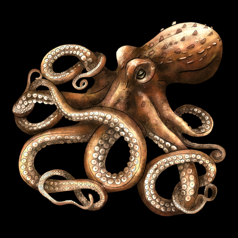 Octopus Ladies Tee by LillyAllenDesigns | Teevron