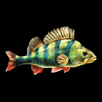 Perch Fish Ladies Tee | Teevron