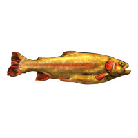 golden trout west virginia | Teevron