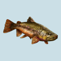 Brown Trout Ladies Tee | Teevron