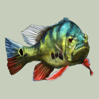 Peacock Bass Illustrations Ladies Tee | Teevron
