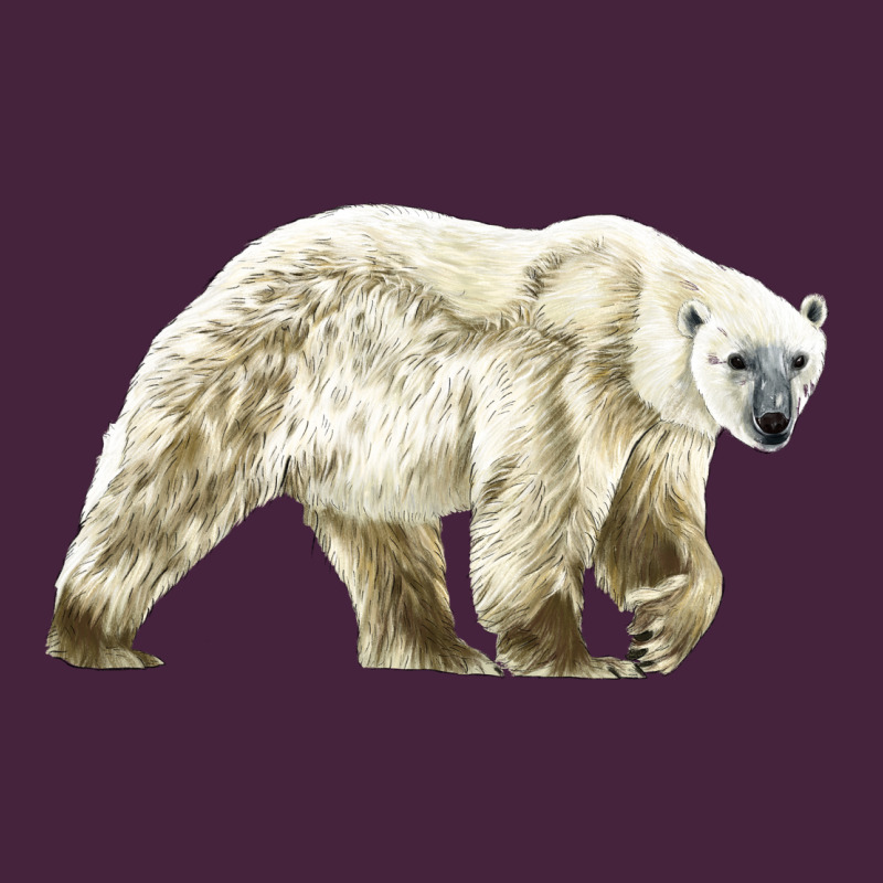 Polar Bear Premium Tee by LillyAllenDesigns | Teevron