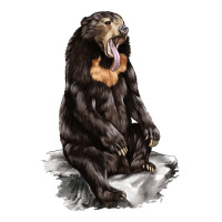 Malayan Sun Bear | Teevron