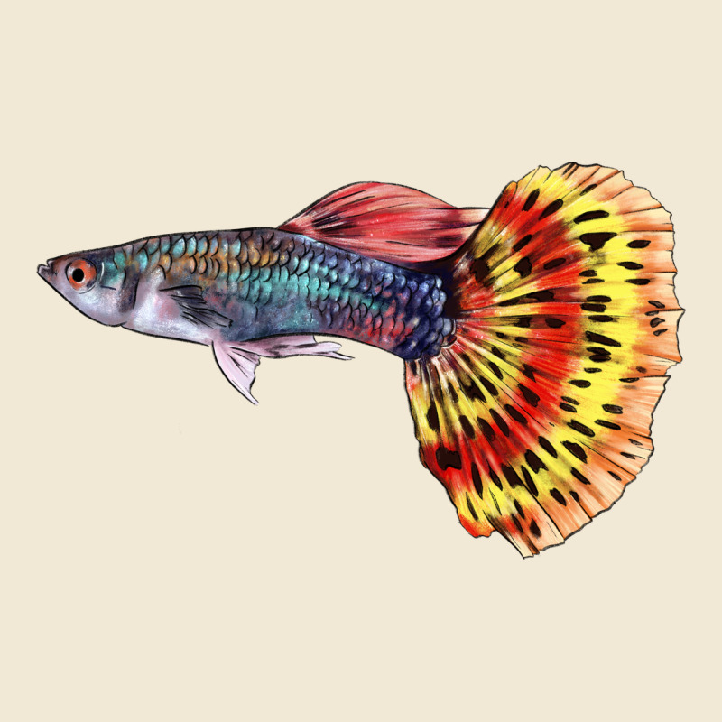 Guppy Fish Premium Tee by LillyAllenDesigns | Teevron