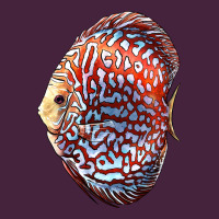 Discus Fish Premium Tee | Teevron