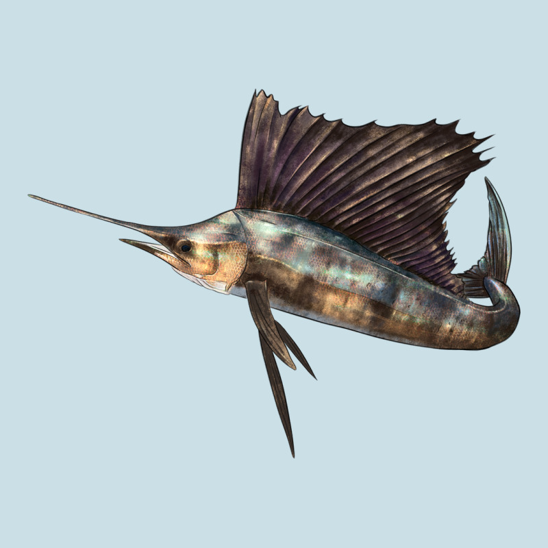 Atlantic Sailfish Illustrations Ladies Tee by LillyAllenDesigns | Teevron