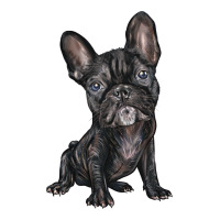 french bulldog | Teevron