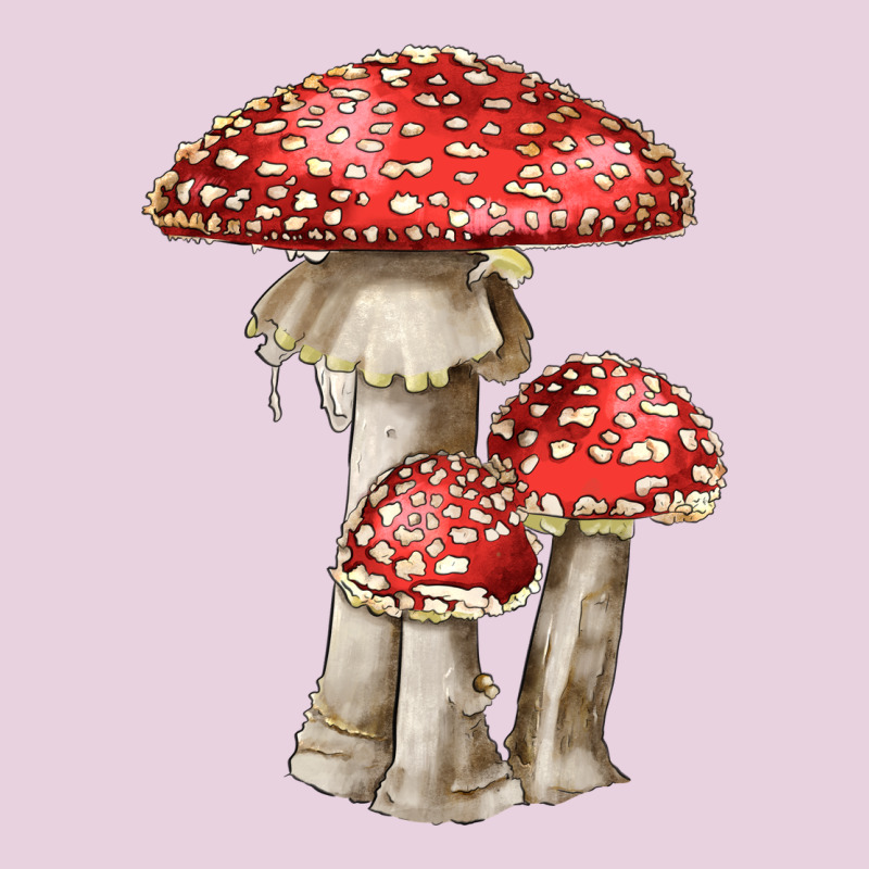 Autumn Mushroom Illustrations Ladies Tee by LillyAllenDesigns | Teevron