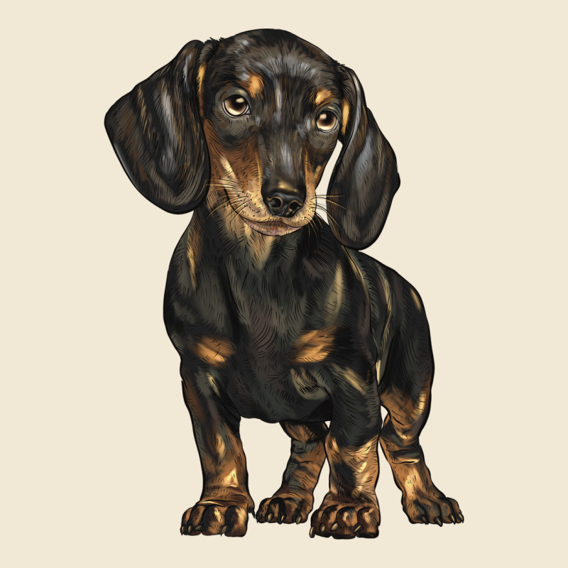 Dachshund Ladies Tee by BarkalooDesign | Teevron