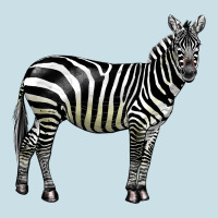 Zebra Ladies Tee | Teevron