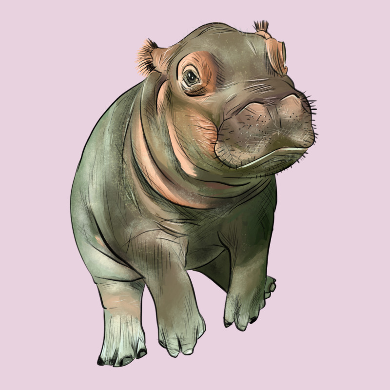 Baby Hippo Ladies Tee by LillyAllenDesigns | Teevron