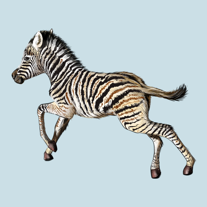 Baby Zebra Ladies Tee by LillyAllenDesigns | Teevron