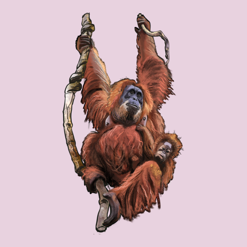 Orangutan And Baby Ladies Tee by LillyAllenDesigns | Teevron