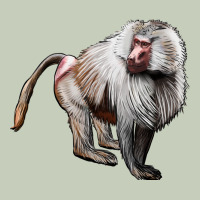 Baboon Ladies Tee | Teevron