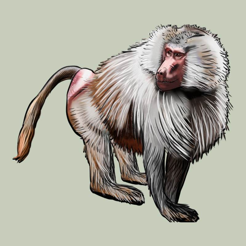 Baboon Ladies Tee by LillyAllenDesigns | Teevron