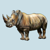 Rhino Illustrations Ladies Tee | Teevron