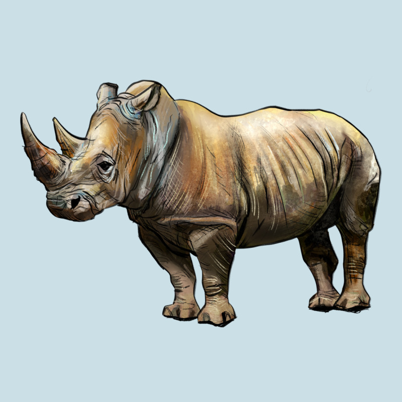Rhino Illustrations Ladies Tee by LillyAllenDesigns | Teevron