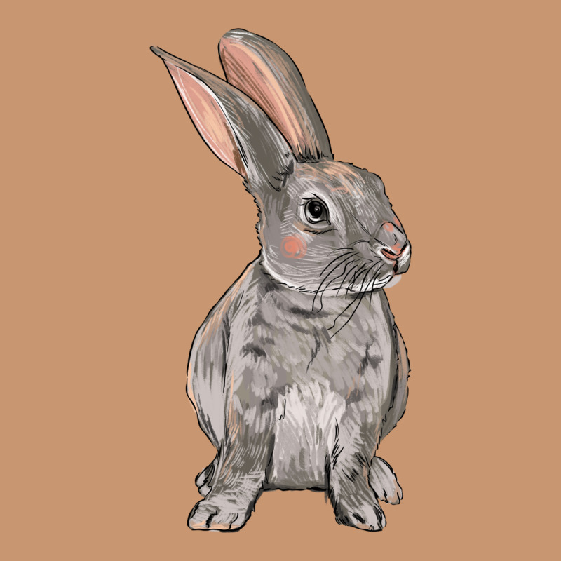 Easter Bunny Heavyweight Hoodie by OliviaCreatesArt | Teevron